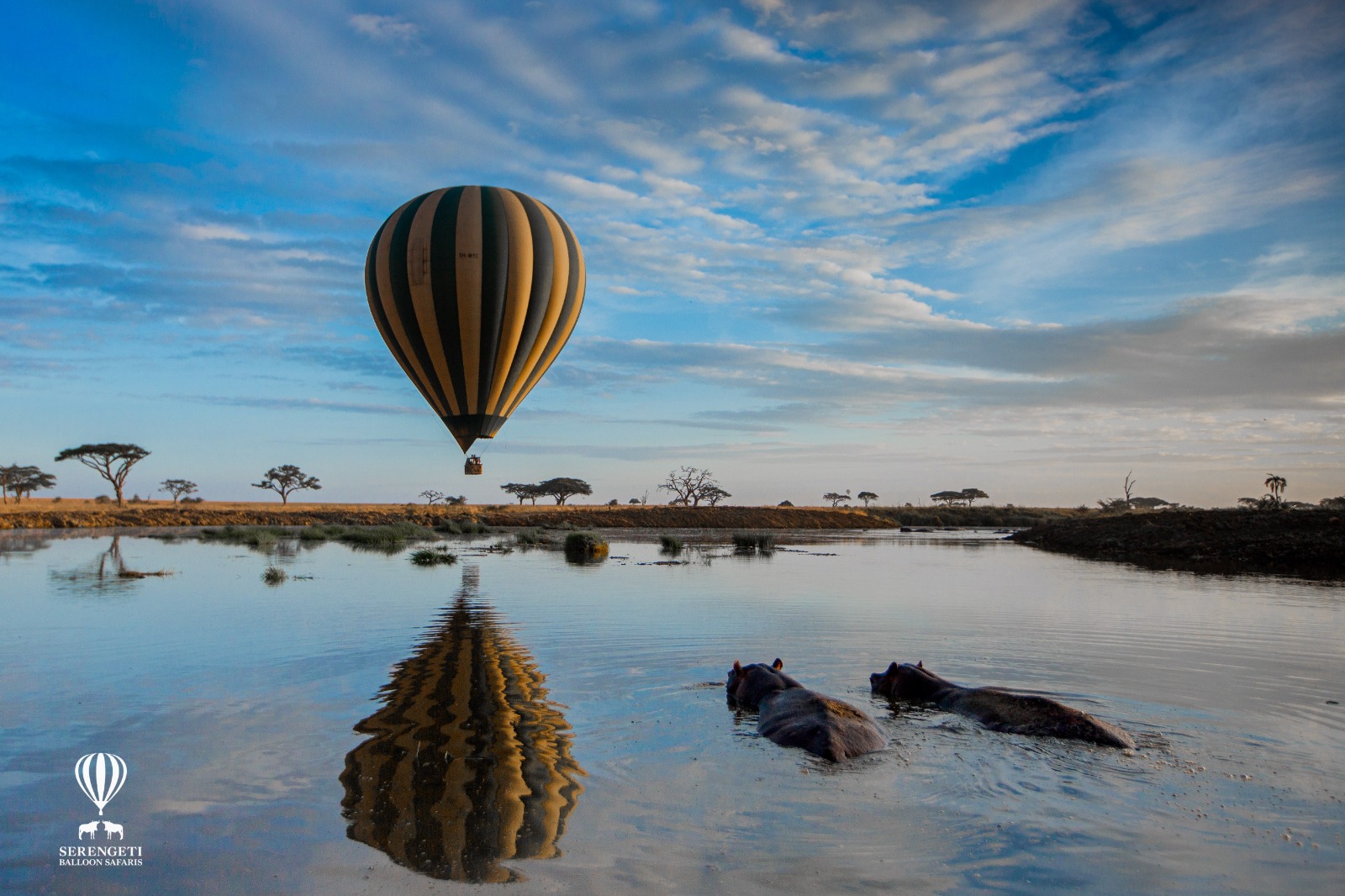 Luxury hot air balloon safari in Tanzania