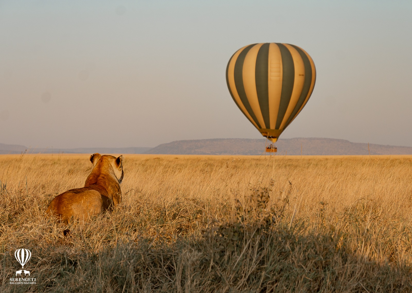 Hot air balloon safari experience